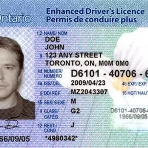 Buy Fake Canadian drivers license online. The Best Quality