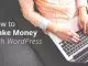 Full Guide To Making Money With WordPress In 48 Hours
