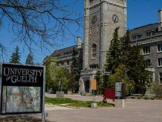 Ontario Graduate Scholarship Program at University of Guelph in Canada