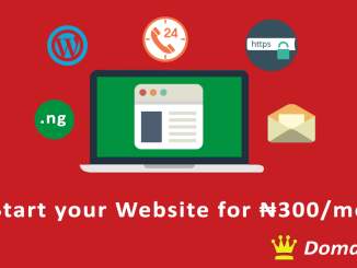 Review of Domainking.Ng Web Hosting, Price and Plan