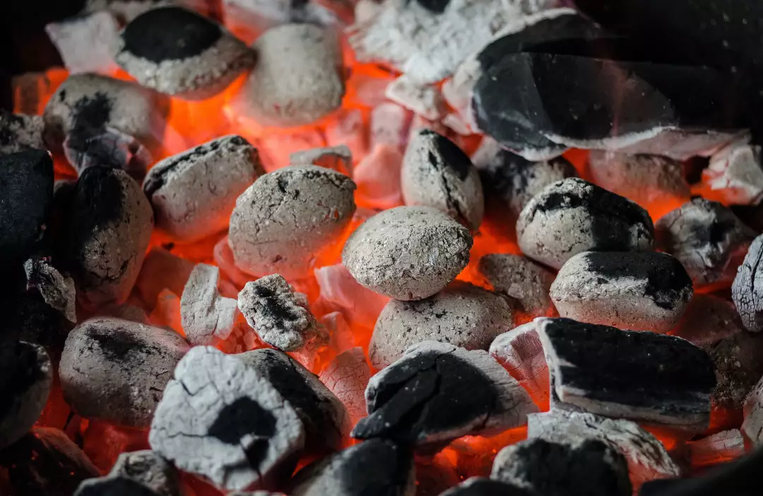 Tips to Starting a Charcoal Business In Nigeria