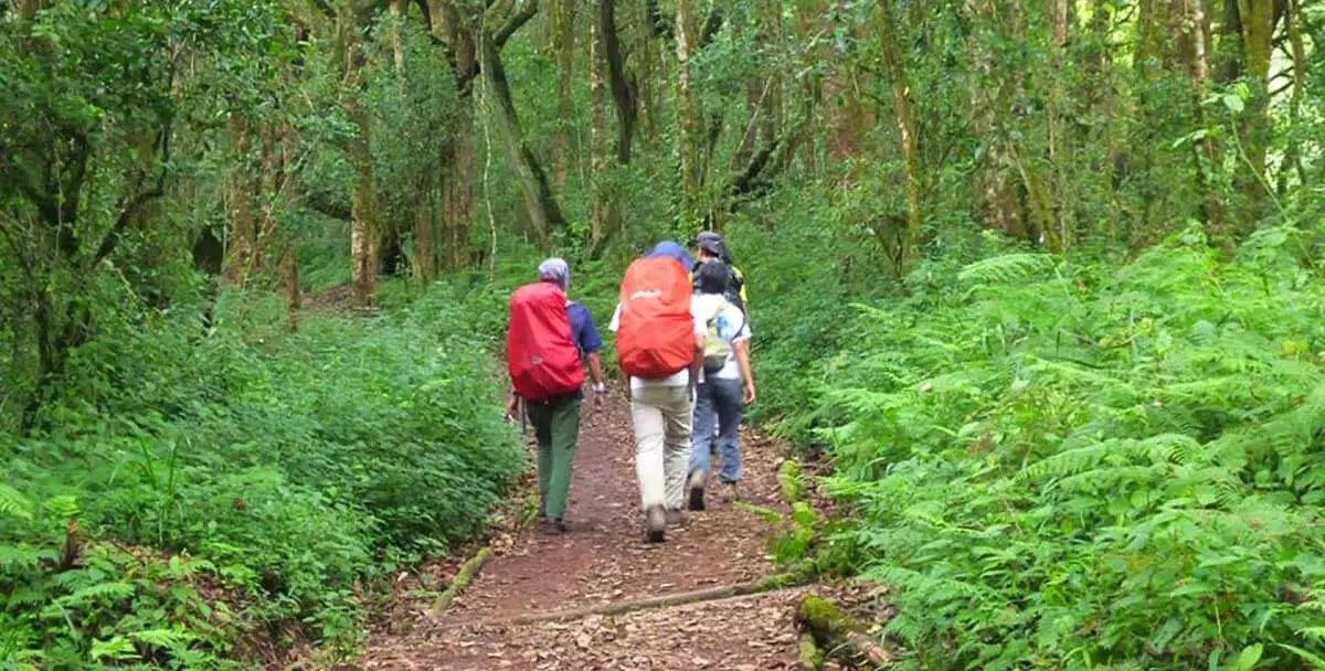 Machame route