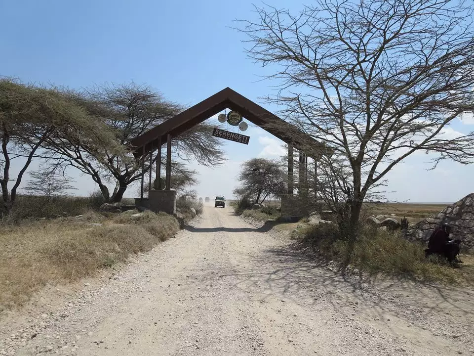 Serengeti national park