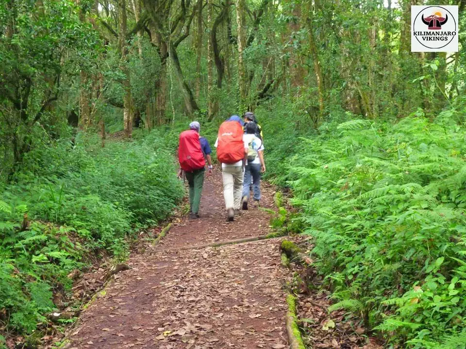 Kilimanjaro climb tour Operators