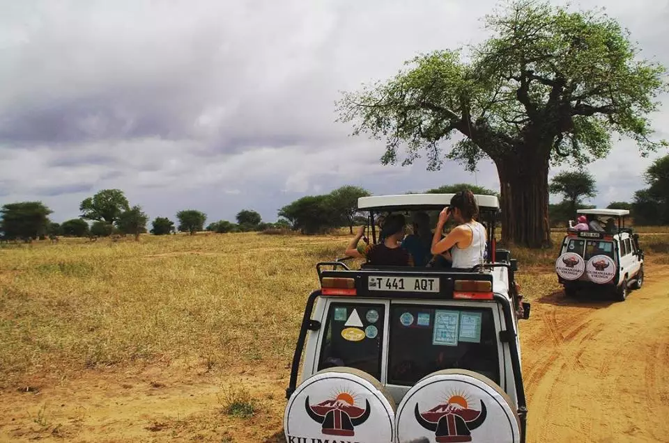 Serengeti-Nationalpark-Tour-Pakete 