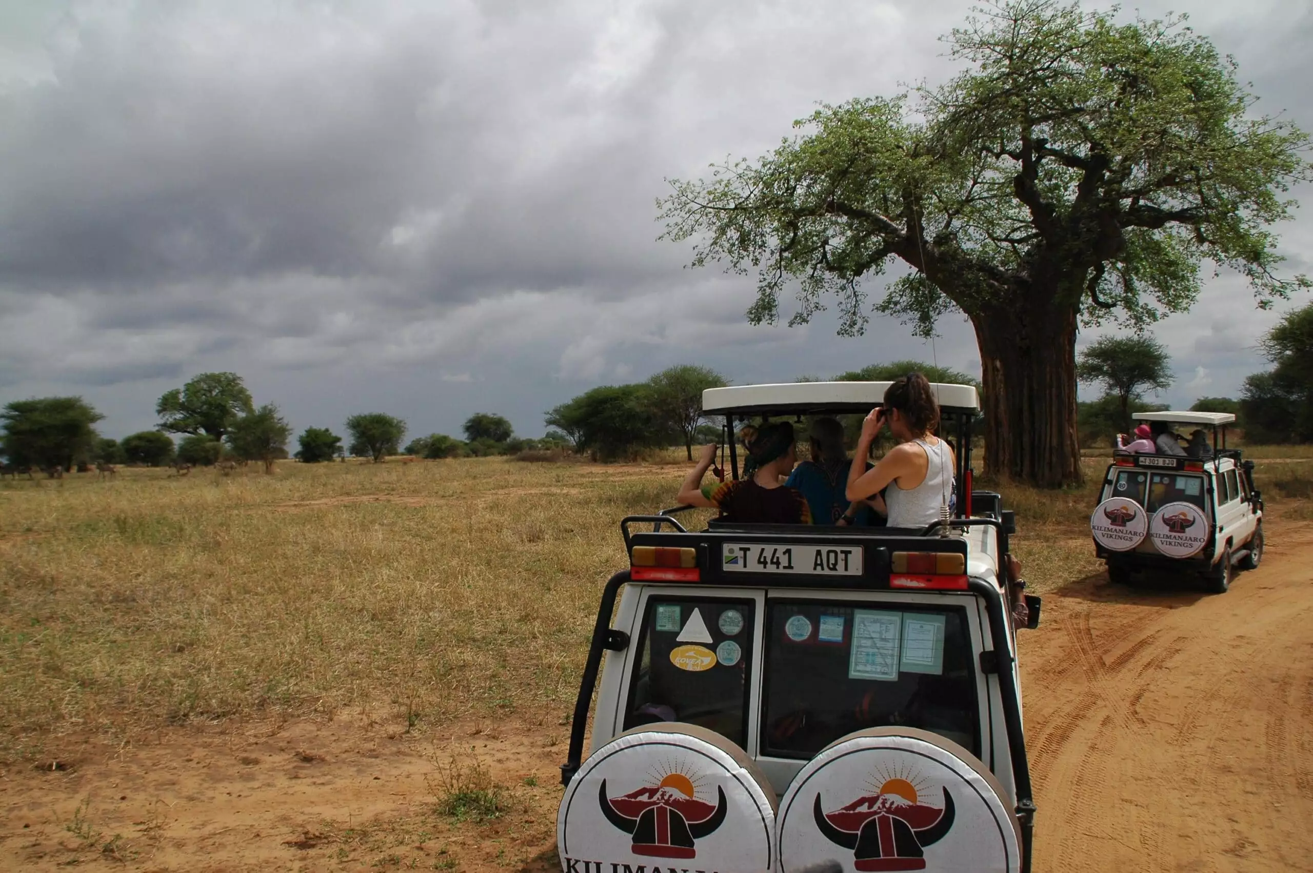 Afrikanische Safari-Touren
