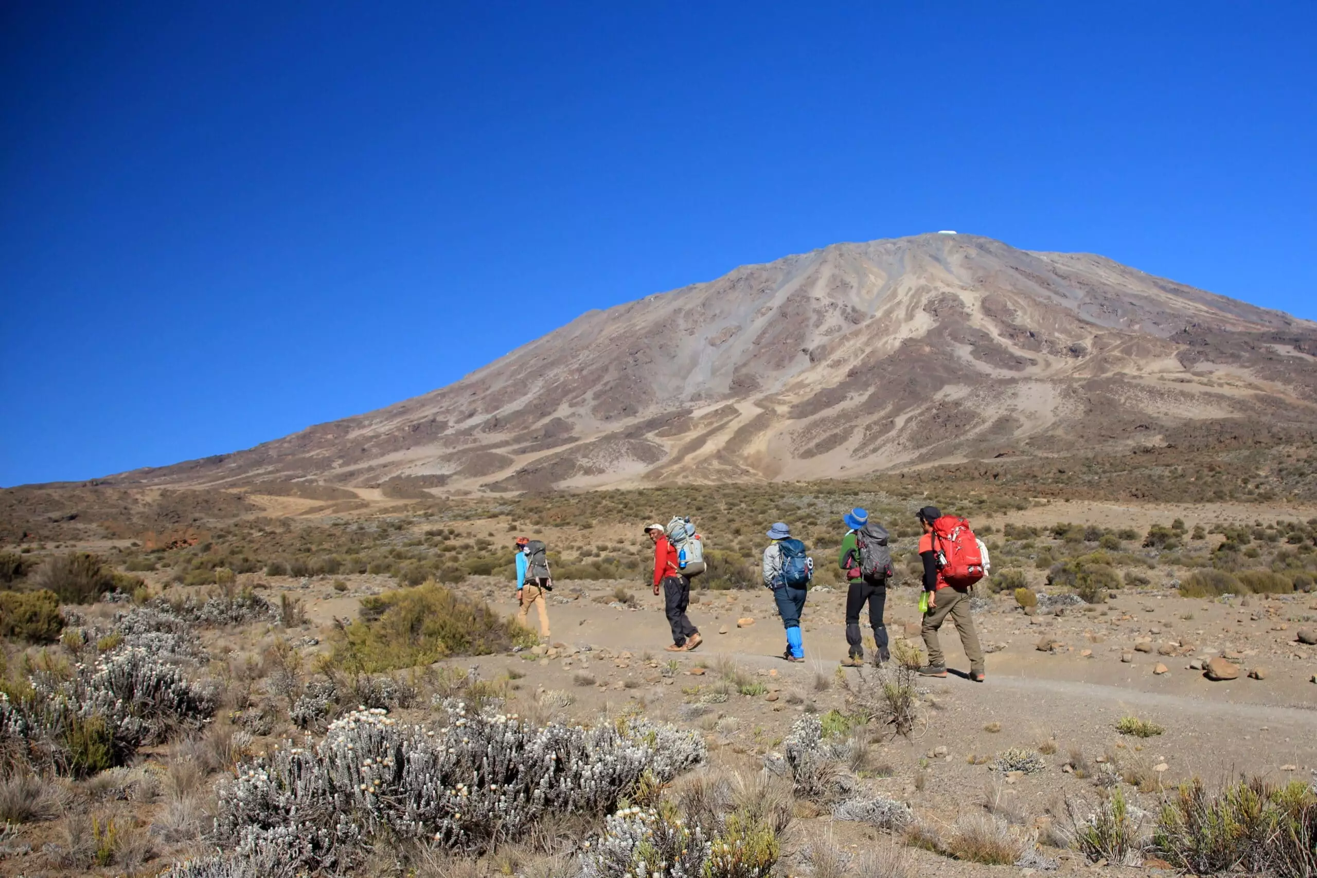 Climb Kilimanjaro