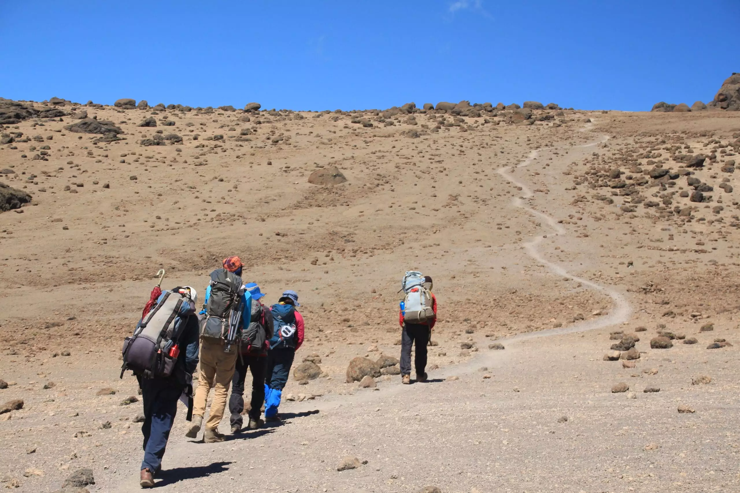 climb Kilimanjaro