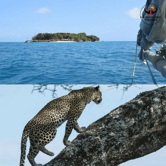 タンザニア・サファリ・セレンゲティ国立公園