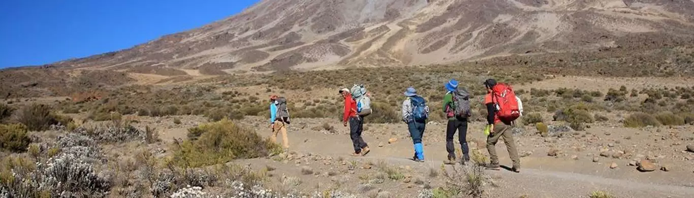 Want To Climb A Mountain Without Actually Climbing? Head To Kilimanjaro