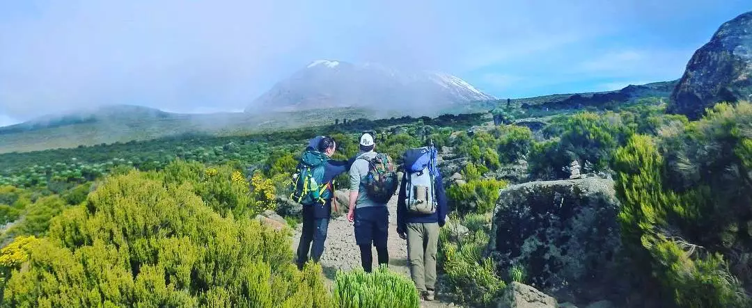 Tanzania Safari Tours and Kilimanjaro Climb!