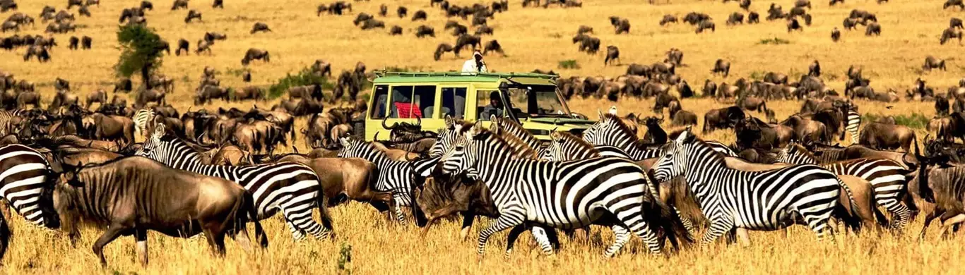 10 Reasons to Visit Serengeti National Park
