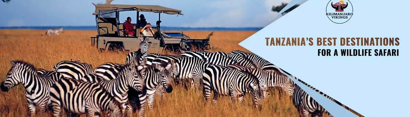 Plan Your Wildlife Safaris Day Trip With Us !!