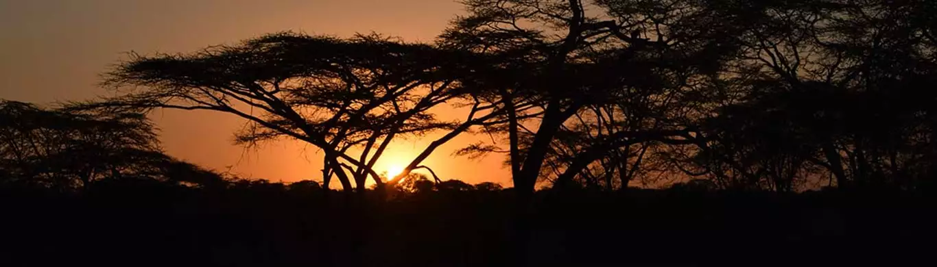 Why is the Serengeti National Park considered as a top tourist attraction?