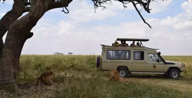 african luxury wildlife safaris