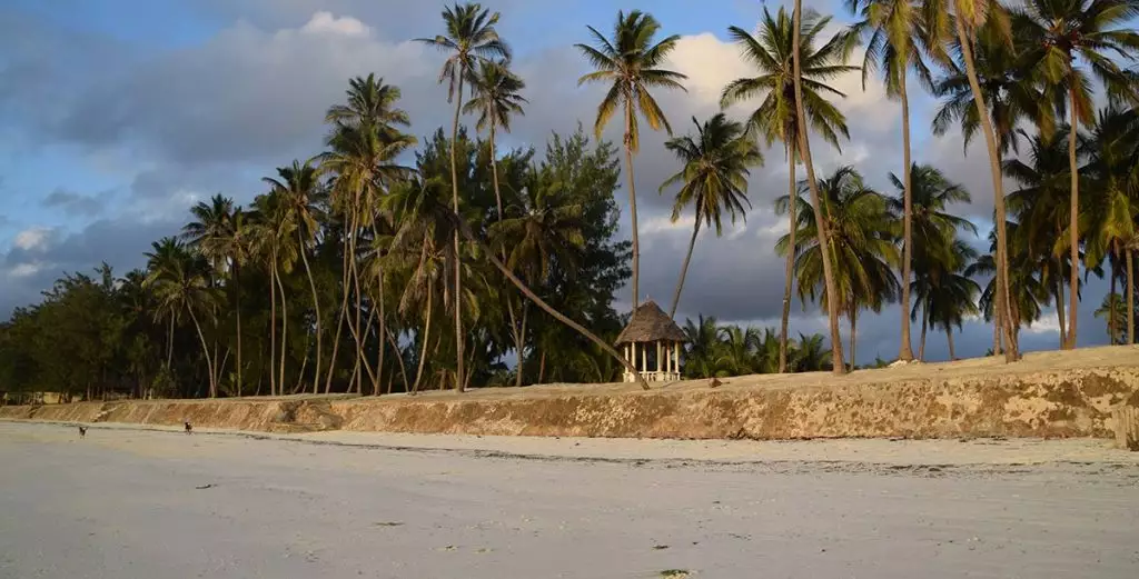 Zanzibar beach