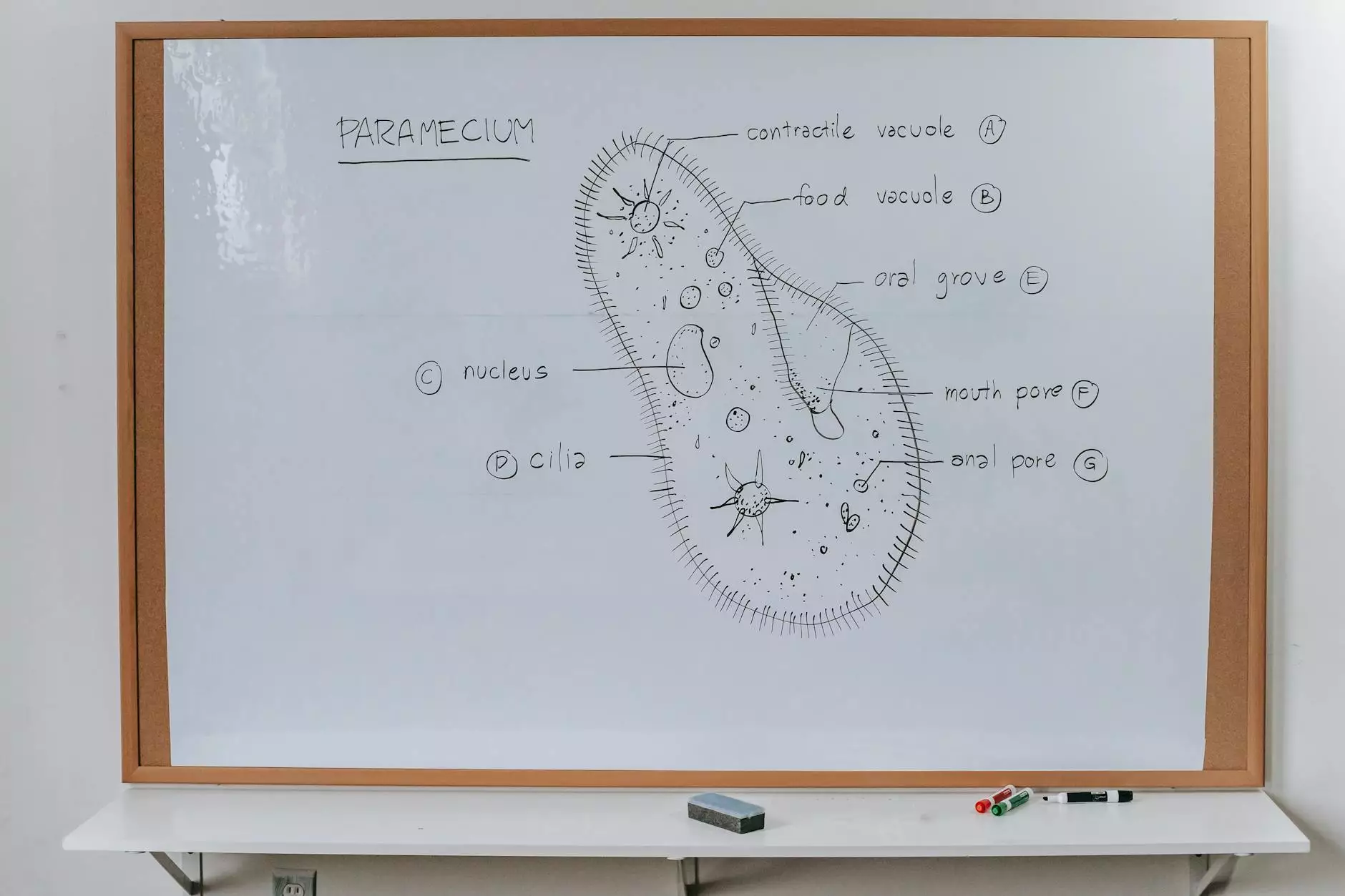 setting of a book report example