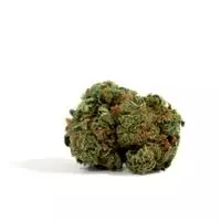 Buy AK48 Automatic Seeds