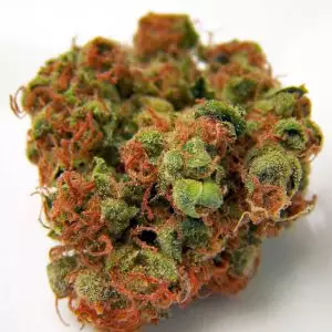 Buy Panama Red medicinal marijuana