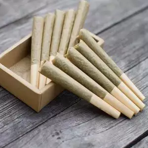 Beli Pre-Rolled Joints secara online (Campuran 7 strain pilihan Anda)