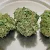 3 Kings Marijuana strains