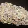Buy Blueberry blast Marijuana strains