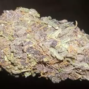 Acheter du cannabis Blueberry blast