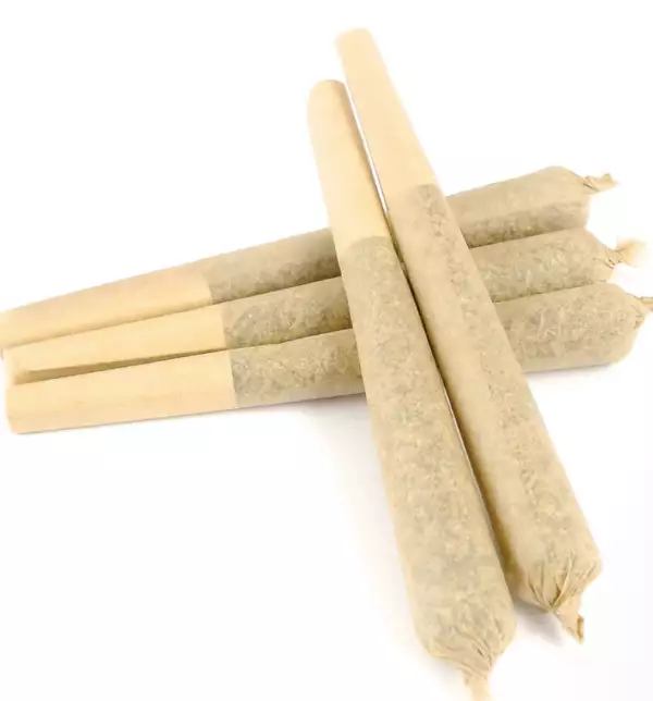Buy-Animal-Cookies-Pre-Rolled-Joints