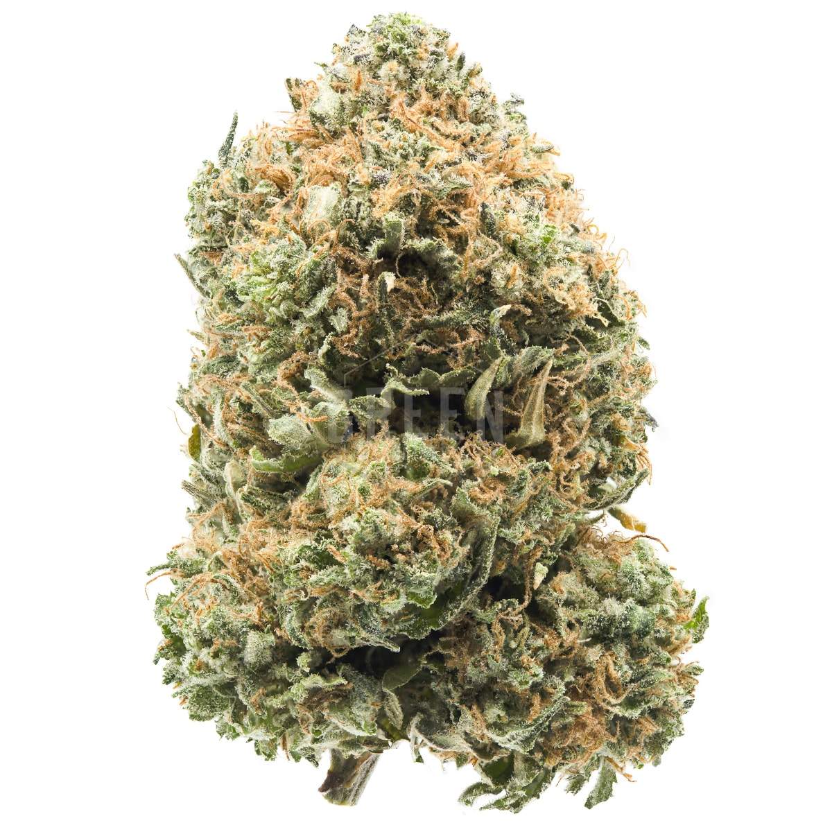 Buy OG Kush strain Online