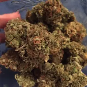 Alffa OG Marijuana