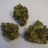 Amnesia Haze Marijuana