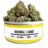 Buy Animal Land Marijuana online