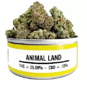 Animal Land Marijuana ကိုအွန်လိုင်းမှ ၀ ယ်ပါ