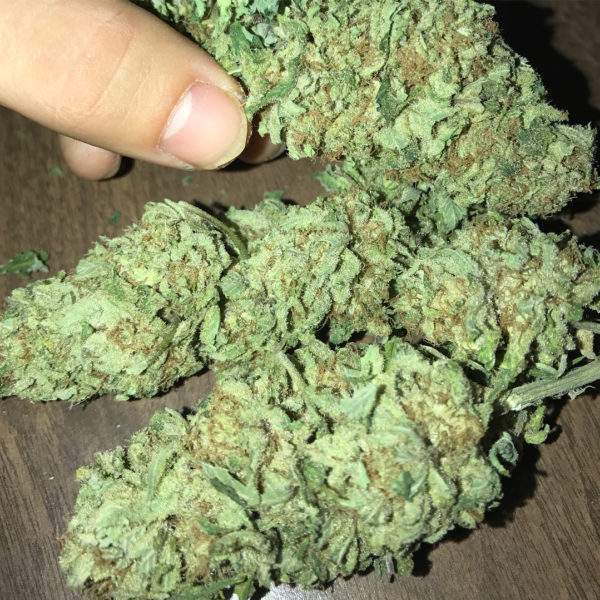 Blue Cheese Marijuan