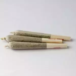 Blue Dream Pre-Rolled Joints