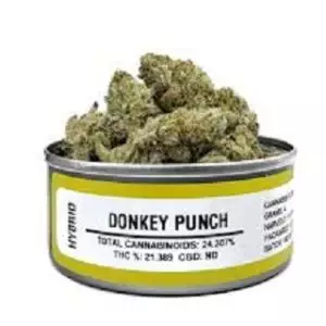 Køb Donkey Punch Weed online