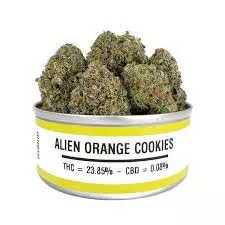 Osta Alien Orange Cookies Marijuana Can