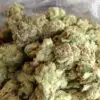 Buy Candyland Marijuana strain online