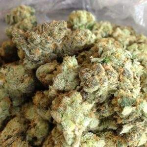 Candyland Marijuana strain