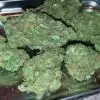 Köp Blueberry Marijuana online