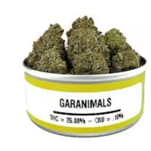 Köp Garanimals Weeds Cans