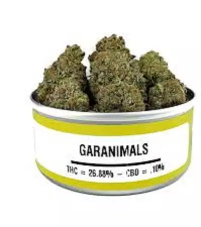 Buy Garanimals Weeds Cans