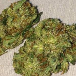 Buy Girls Scout cookies marijuana strain