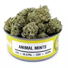 Køb Animal Mint Cannabis