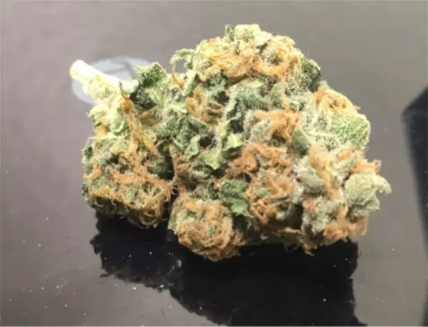 Pineapple Marijuana strain