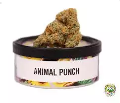 Blini kanabis Animal Punch