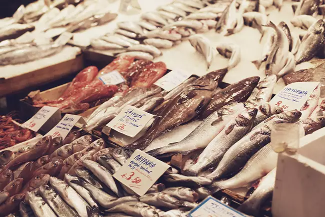 Ryby – jak często je jeść?